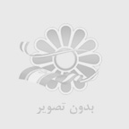 فايل آماده دانلود پاورپوينت بررسي ادغام شركت ها